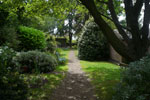 The garden