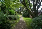View of garden