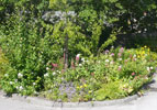 View of garden