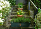 View of garden